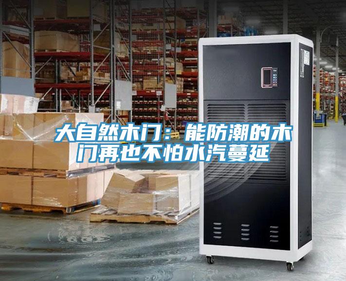 大自然木門：能防潮的木門再也不怕水汽蔓延
