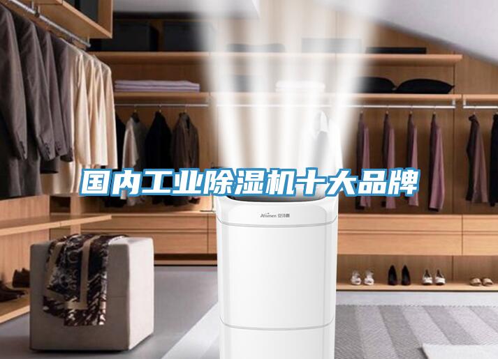 國內工業小黄片软件免费下载十大品牌