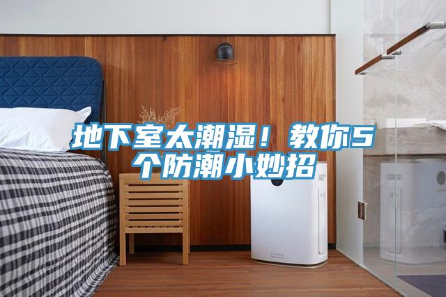 地下室太潮濕！教你5個防潮小妙招