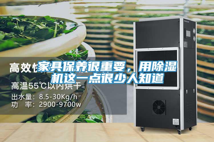 家具保養很重要，用小黄片软件免费下载這一點很少人知道