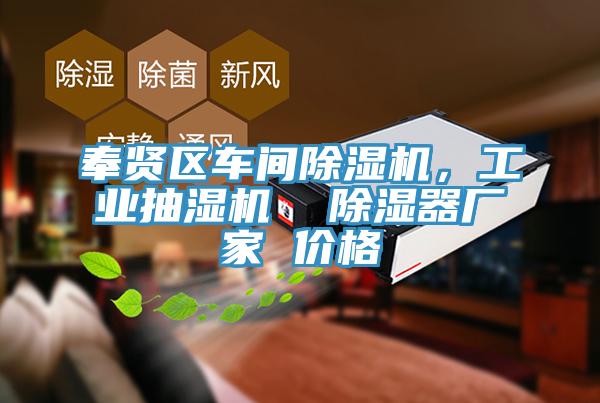 奉賢區車間小黄片软件免费下载，工業抽濕機  除濕器廠家 價格