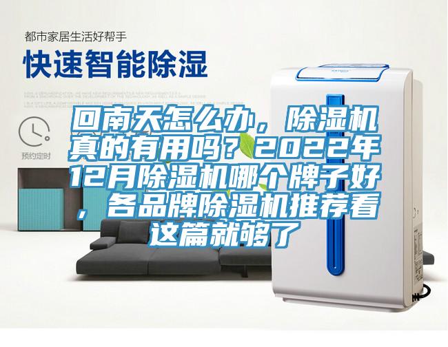 回南天怎麽辦，小黄片软件免费下载真的有用嗎？2022年12月小黄片软件免费下载哪個牌子好，各品牌小黄片软件免费下载推薦看這篇就夠了