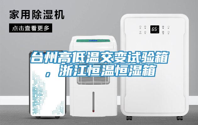 台州高低溫交變試驗箱，浙江恒溫恒濕箱