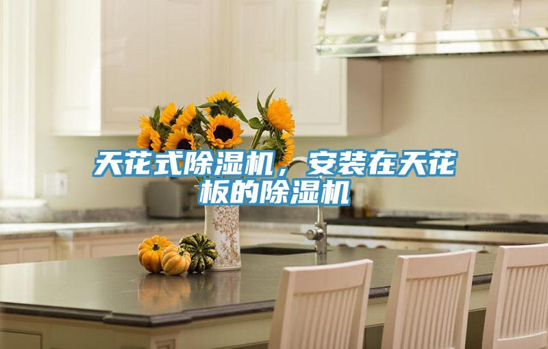 天花式小黄片软件免费下载，安裝在天花板的小黄片软件免费下载