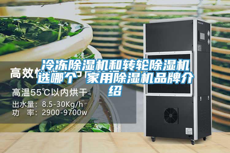 冷凍小黄片软件免费下载和轉輪小黄片软件免费下载選哪個 家用小黄片软件免费下载品牌介紹