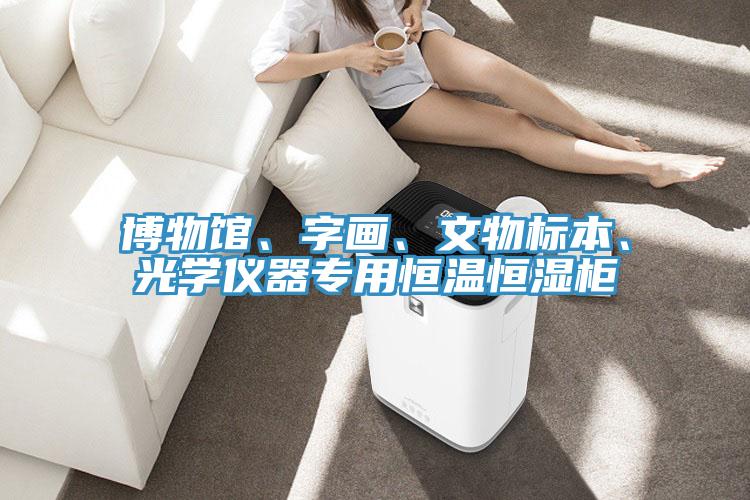 博物館、字畫、文物標本、光學儀器專用恒溫恒濕櫃