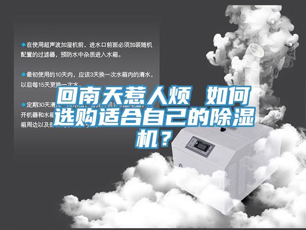 回南天惹人煩 如何選購適合自己的小黄片软件免费下载？