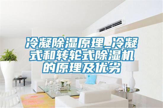 冷凝除濕原理_冷凝式和轉輪式小黄片软件免费下载的原理及優劣