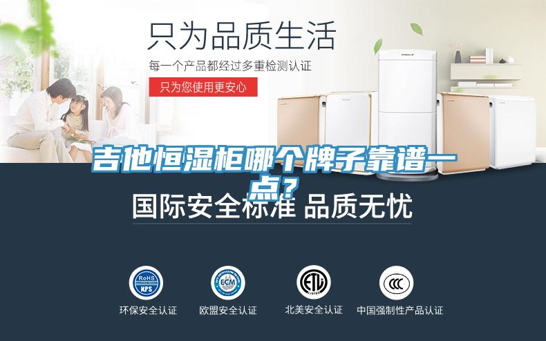 吉他恒濕櫃哪個牌子靠譜一點？