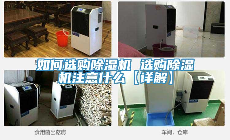 如何選購小黄片软件免费下载 選購小黄片软件免费下载注意什麽【詳解】