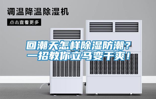 回潮天怎樣除濕防潮？一招教你立馬變幹爽！