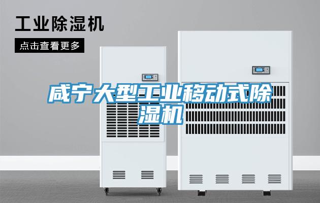 鹹寧大型工業移動式小黄片软件免费下载