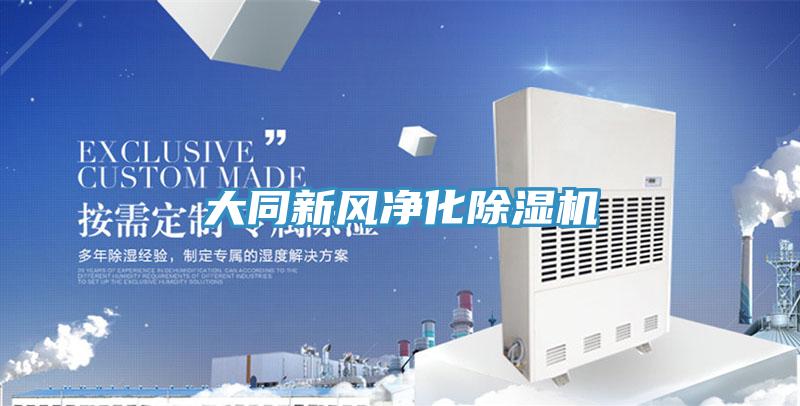 大同新風淨化小黄片软件免费下载