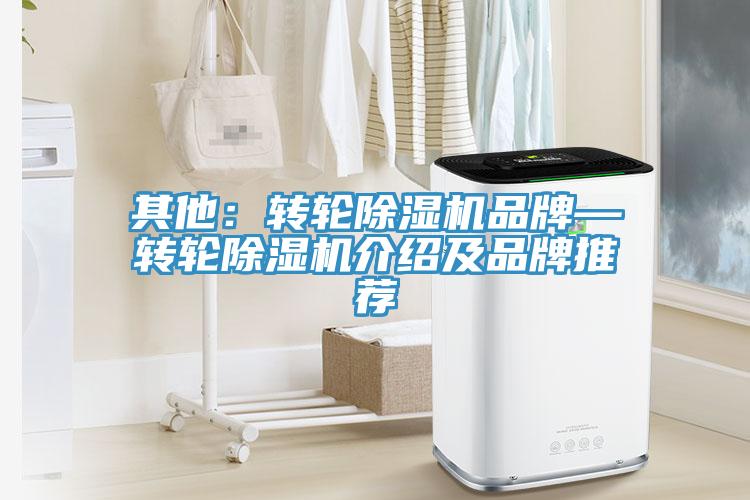 其他：轉輪小黄片软件免费下载品牌—轉輪小黄片软件免费下载介紹及品牌推薦