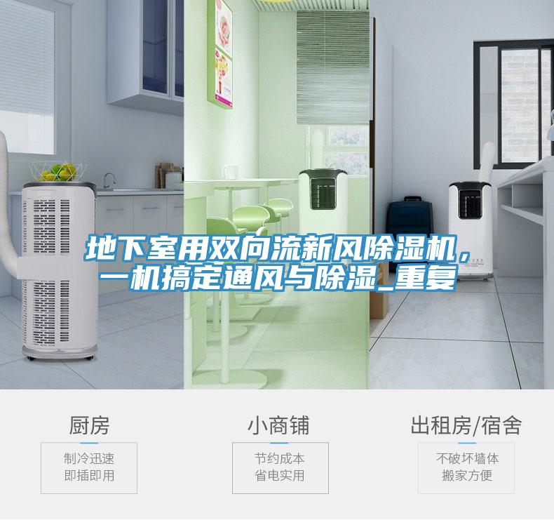 地下室用雙向流新風小黄片软件免费下载，一機搞定通風與除濕_重複
