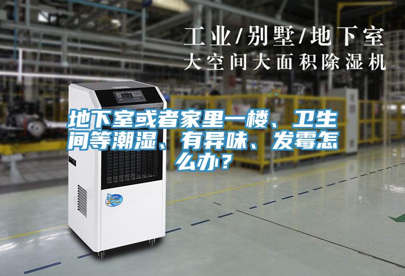 地下室或者家裏一樓、衛生間等潮濕、有異味、發黴怎麽辦？