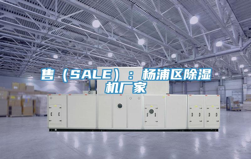 售（SALE）：楊浦區小黄片软件免费下载廠家