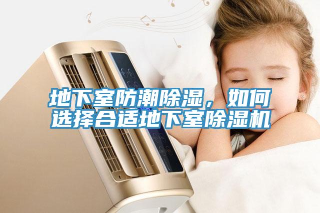 地下室防潮除濕，如何選擇合適地下室小黄片软件免费下载