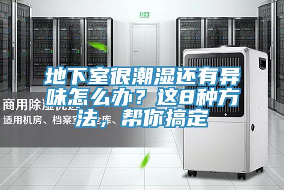 地下室很潮濕還有異味怎麽辦？這8種方法，幫你搞定