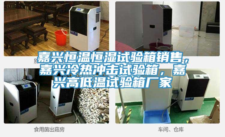 嘉興恒溫恒濕試驗箱銷售，嘉興冷熱衝擊試驗箱，嘉興高低溫試驗箱廠家