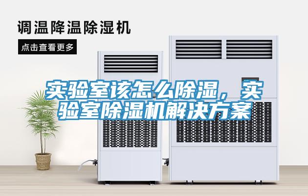 實驗室該怎麽除濕，實驗室小黄片软件免费下载解決方案