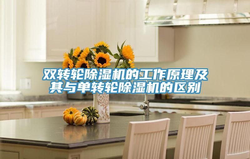 雙轉輪小黄片软件免费下载的工作原理及其與單轉輪小黄片软件免费下载的區別