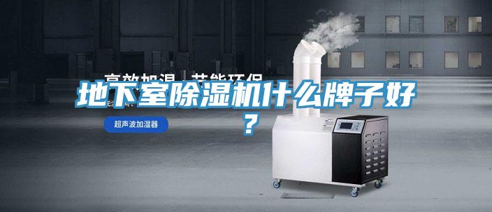 地下室小黄片软件免费下载什麽牌子好？