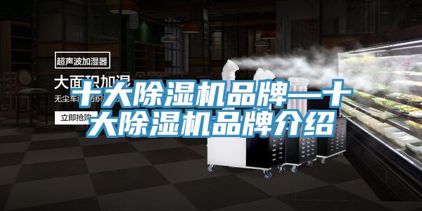 十大小黄片软件免费下载品牌—十大小黄片软件免费下载品牌介紹