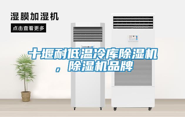 十堰耐低溫冷庫小黄片软件免费下载，小黄片软件免费下载品牌