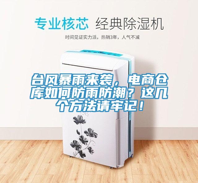 台風暴雨來襲，電商倉庫如何防雨防潮？這幾個方法請牢記！