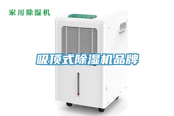 吸頂式小黄片软件免费下载品牌