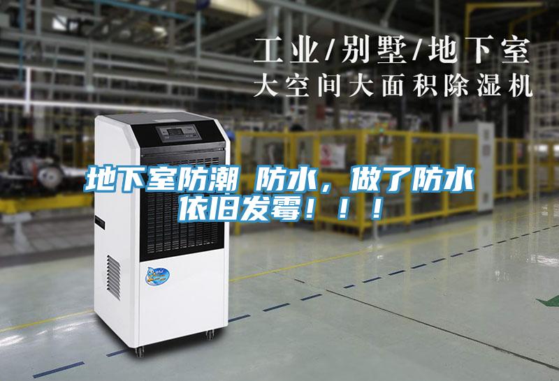 地下室防潮≠防水，做了防水依舊發黴！！！