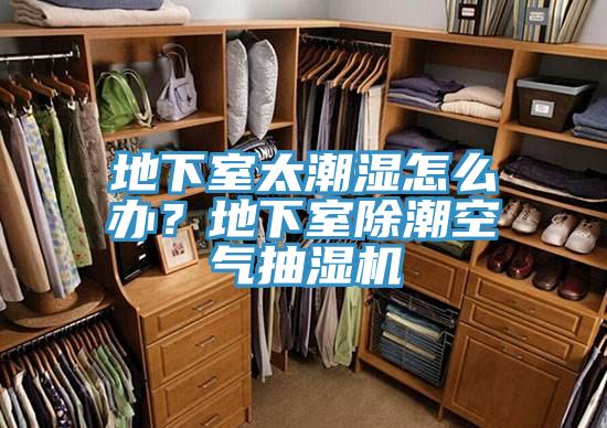 地下室太潮濕怎麽辦？地下室除潮空氣抽濕機