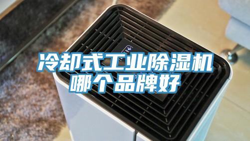 冷卻式工業小黄片软件免费下载哪個品牌好