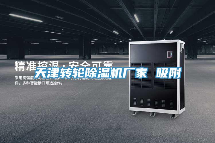 天津轉輪小黄片软件免费下载廠家 吸附