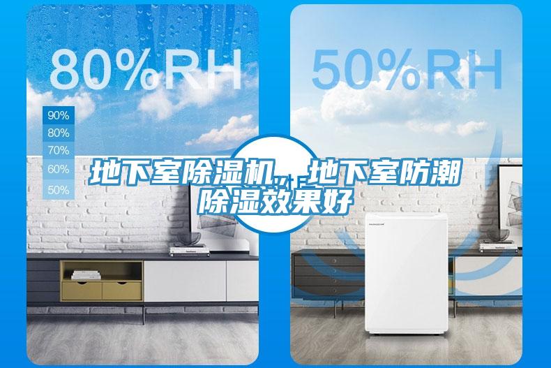 地下室小黄片软件免费下载，地下室防潮除濕效果好