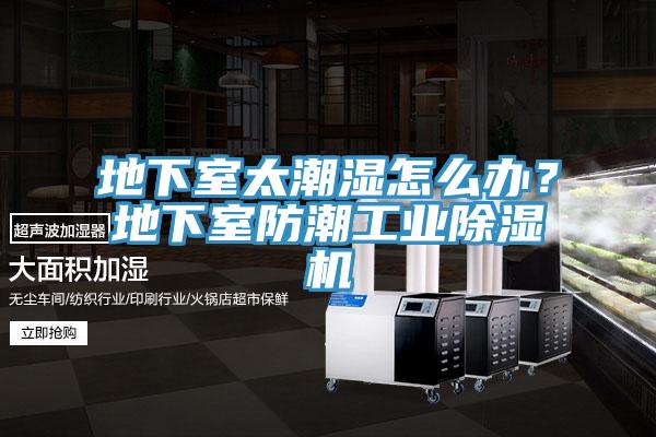 地下室太潮濕怎麽辦？地下室防潮工業小黄片软件免费下载