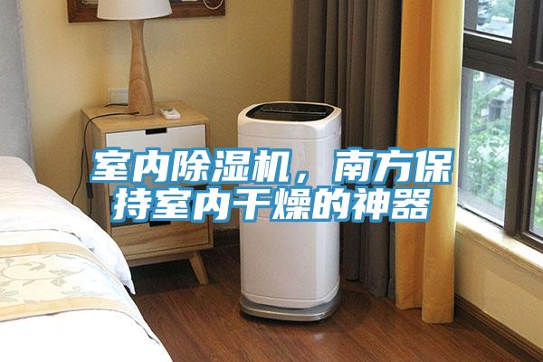 室內小黄片软件免费下载，南方保持室內幹燥的神器