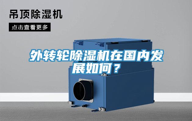外轉輪小黄片软件免费下载在國內發展如何？