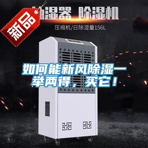 如何能新風除濕一舉兩得，買它！