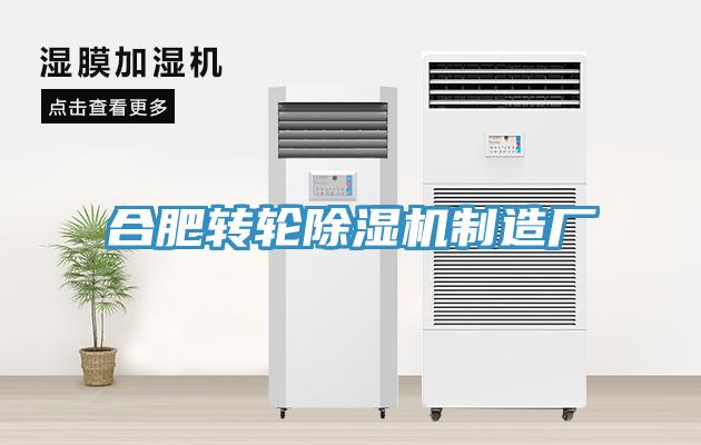 合肥轉輪小黄片软件免费下载製造廠