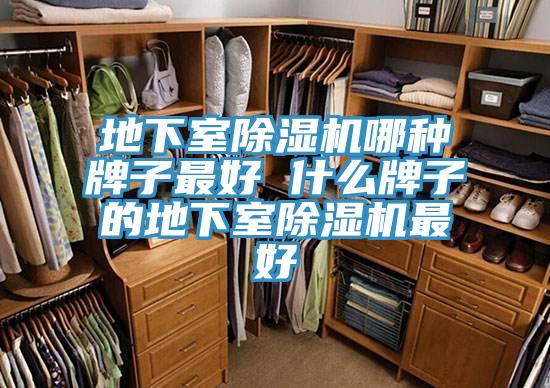 地下室小黄片软件免费下载哪種牌子最好 什麽牌子的地下室小黄片软件免费下载最好