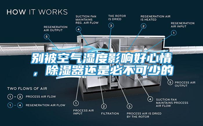 別被空氣濕度影響好心情，除濕器還是必不可少的