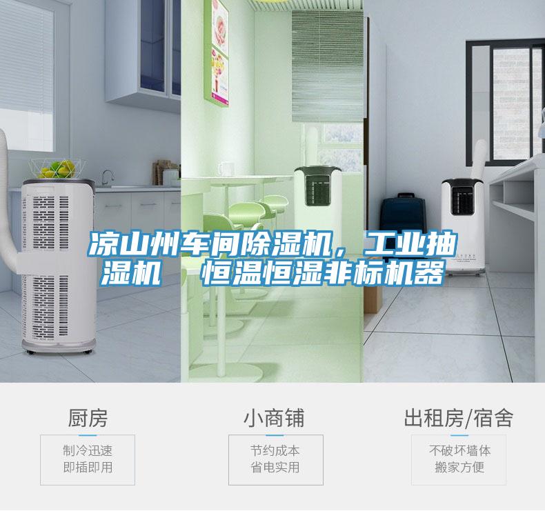 涼山州車間小黄片软件免费下载，工業抽濕機  恒溫恒濕非標機器