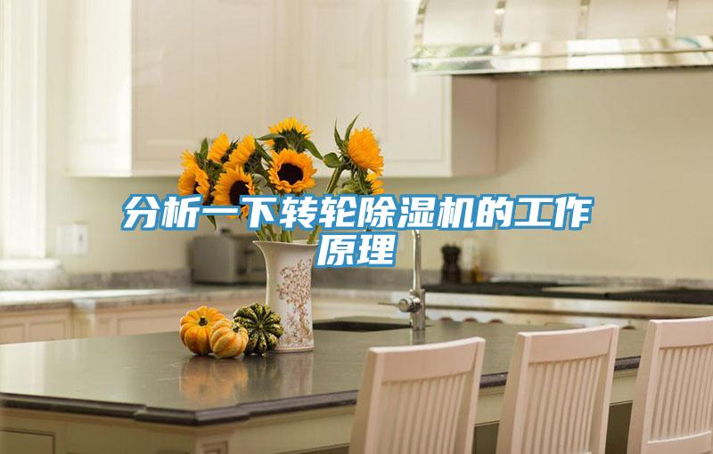 分析一下轉輪小黄片软件免费下载的工作原理