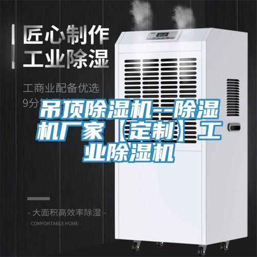 吊頂小黄片软件免费下载--小黄片软件免费下载廠家【定製】工業小黄片软件免费下载