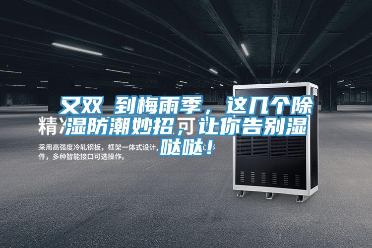 又雙叒到梅雨季，這幾個除濕防潮妙招，讓你告別濕噠噠！