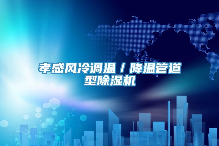 孝感風冷調溫／降溫管道型小黄片软件免费下载