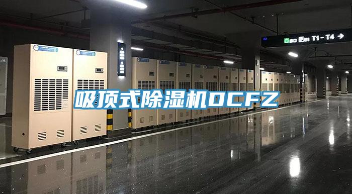 吸頂式小黄片软件免费下载DCFZ