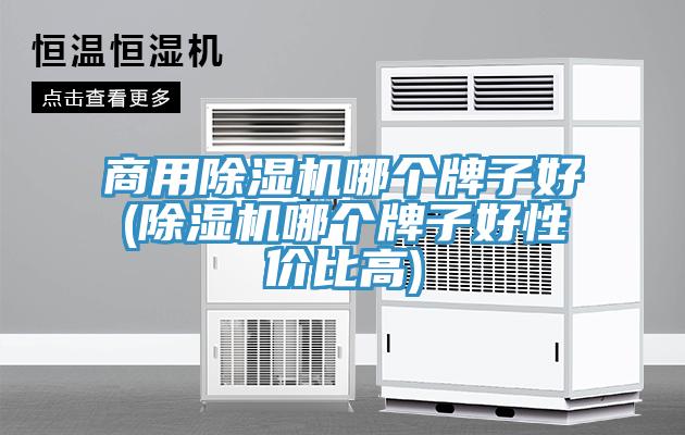 商用小黄片软件免费下载哪個牌子好(小黄片软件免费下载哪個牌子好性價比高)